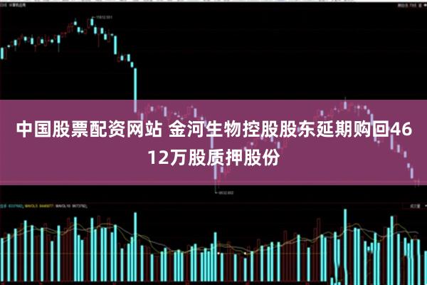 中国股票配资网站 金河生物控股股东延期购回4612万股质押股份