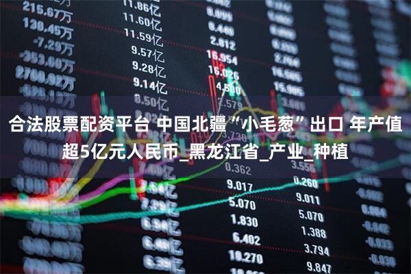 合法股票配资平台 中国北疆“小毛葱”出口 年产值超5亿元人民币_黑龙江省_产业_种植