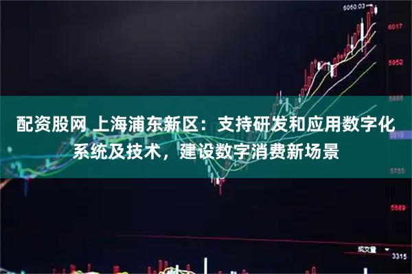 配资股网 上海浦东新区：支持研发和应用数字化系统及技术，建设数字消费新场景